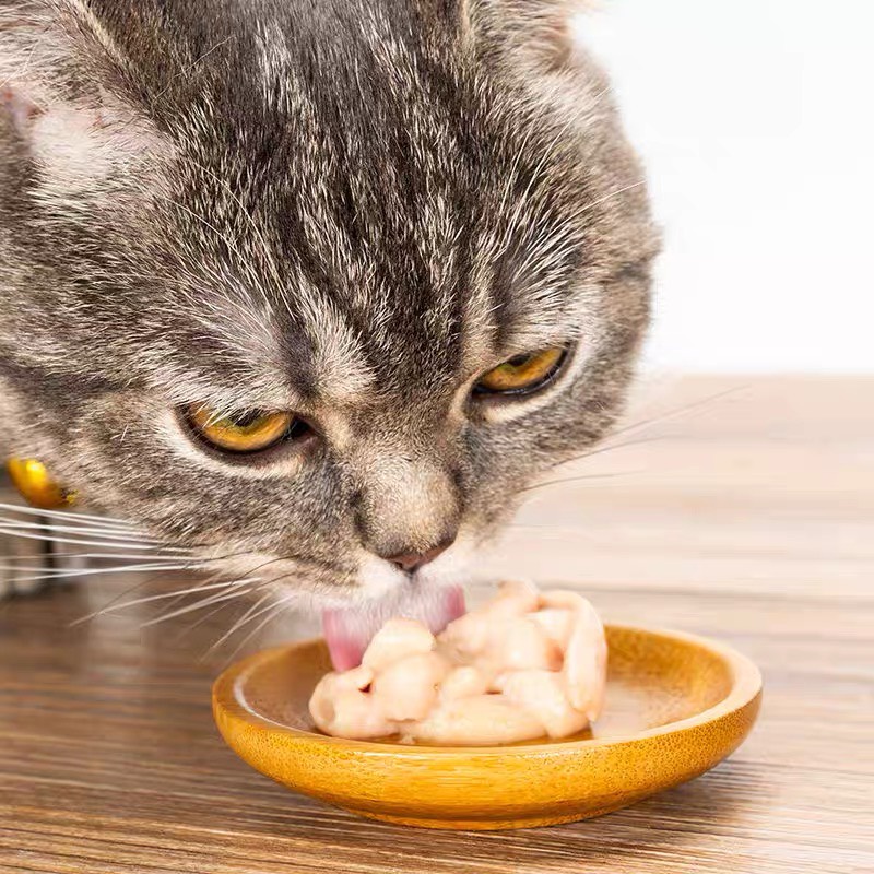Súp thưởng cho mèo Cat food thanh 15g, thức ăn tăng cân mập mèo con lớn nhỏ Con Mèo Xiêm