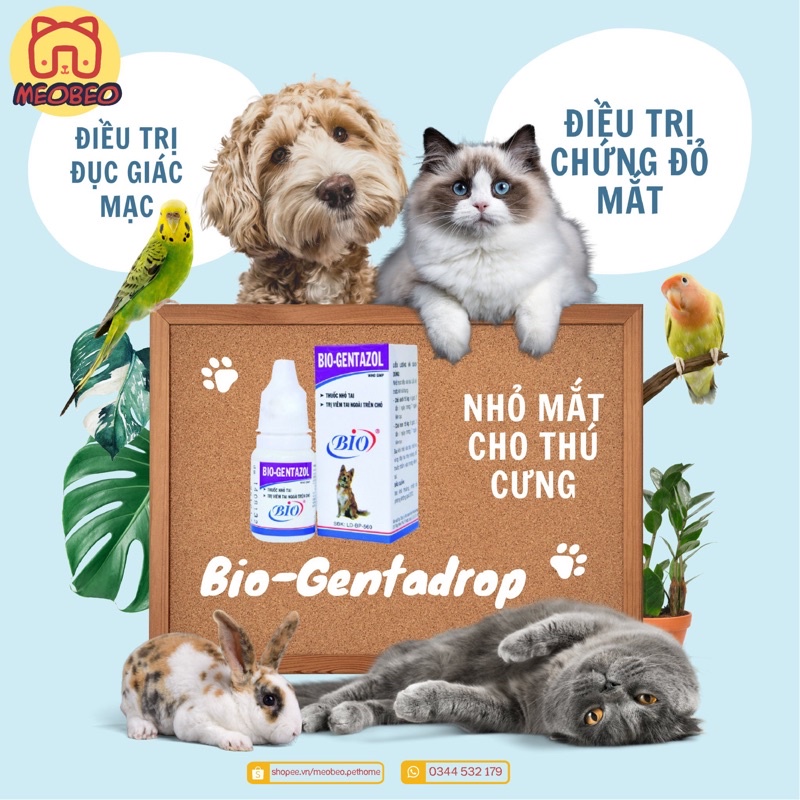Bio Gentadrop Dung dịch nhỏ mắt cho Chó Mèo chai 10ml_ bio genta _