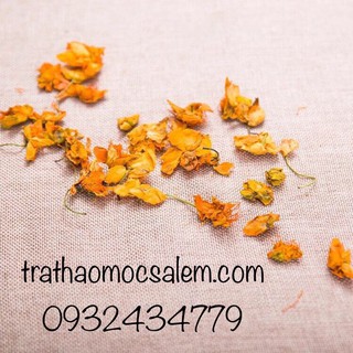 Trà hoa sen vàng Tây Tạng