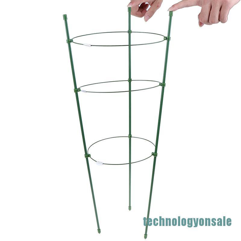 Khung Hỗ Trợ Trồng Cây Leo Dài 60cm