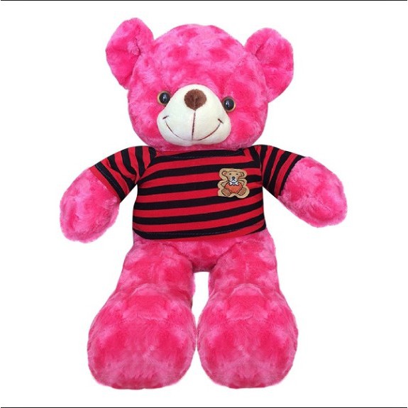 [CHUYÊN SỈ GIÁ SỐC] Gấu bông cao cấp Teddy áo thun Size 50cm hàng VNXK [ DIABRAND ]