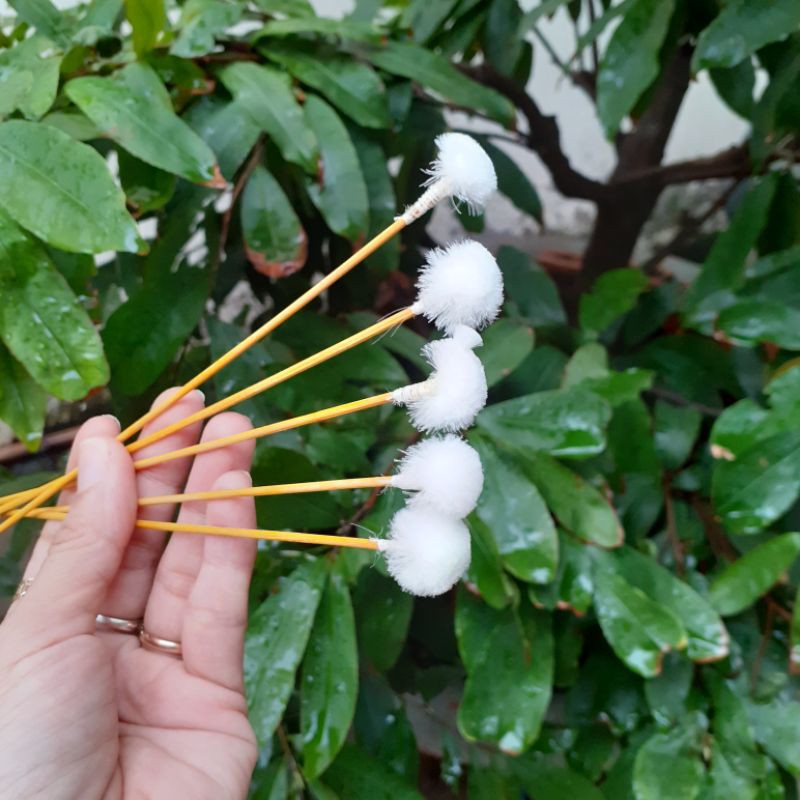 Combo 10 bông ngoáy tai lông vịt