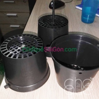 20 chậu trồng lan phi 8, bít lỗ