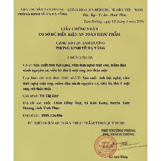 Tinh bột Nghệ Vàng 100% Nguyên Chất