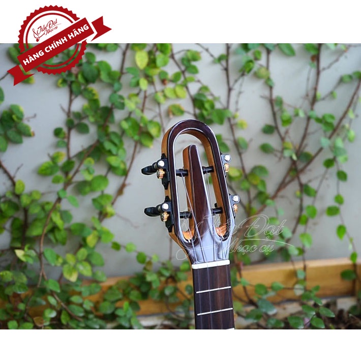 Đàn Ukulele Sqoe SQ-2410C, SQ-2420C, SQ-2430C Chế Tác Thủ Công Tỉ Mỉ, Tinh Xảo