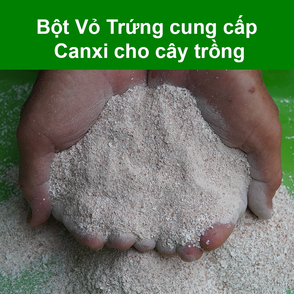 Bột Vỏ Trứng Gà Trồng Cây (1 Kg) Ngâm Tưới Cung Cấp Canxi Cho Rau, Cây Ăn Quả, Hoa, Cây Cảnh