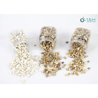 Vỏ ốc vụn trang trí phong cách biển hủ 140-160g HUOC-01