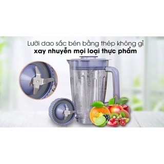 Máy xay sinh tố Philips HR2221-700W