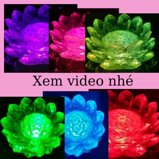 Cặp đèn thờ sen đủ màu...