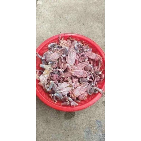 Mồi cóc rắn đồng nguyên chất cho gà 300g