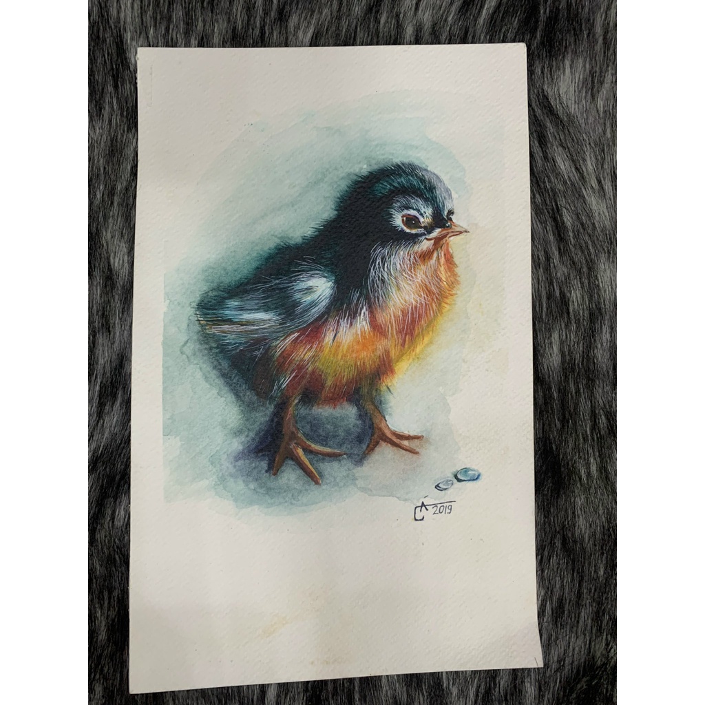 Tranh màu nước thú cưng-vẽ theo yêu cầu