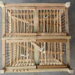 Lỗng bẫy chim 4 cửa