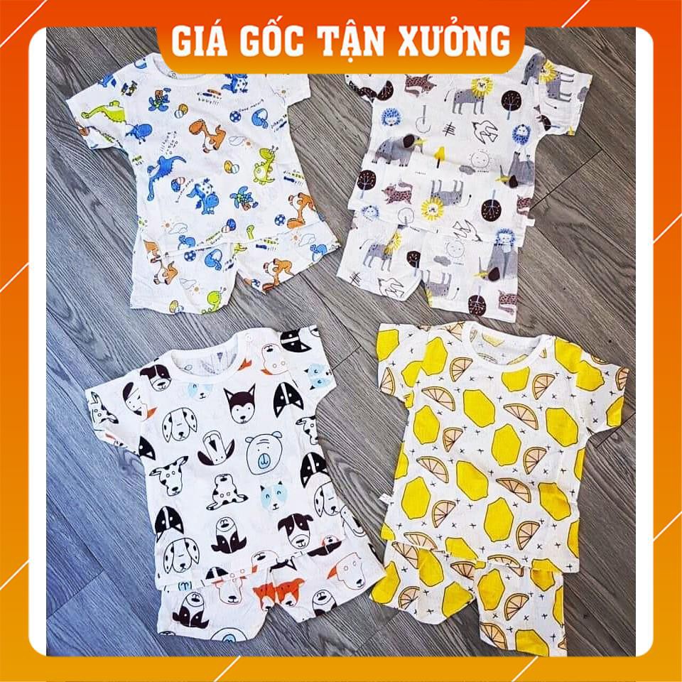 [100% Cotton Tre] Bộ Quần Áo Trẻ Em Quần Đùi Trẻ Em, Em Bé Cotton Tre VNXK Đẹp Đáng Yêu Cho Bé Trai Bé Gái