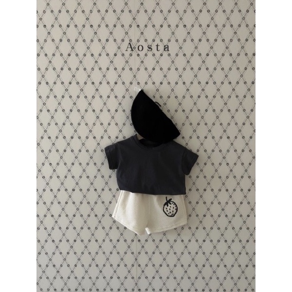 Áo trơn Aosta 2022