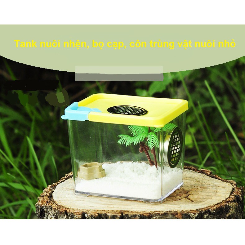 Tank nuôi nhện bọ cạp rết vật nuôi nhỏ