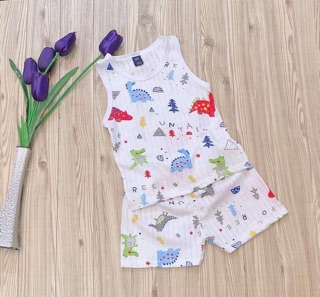 Combo 5 Bộ ba lỗ cotton giấy cho bé size đại (8-16kg)