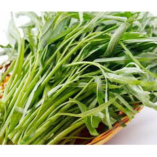 30 Gram Hạt giống rau muống
