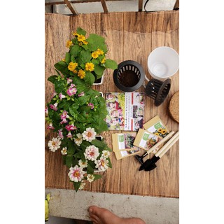 Bộ dụng cụ làm vườn 3 món dài 25cm (dài và khỏe)