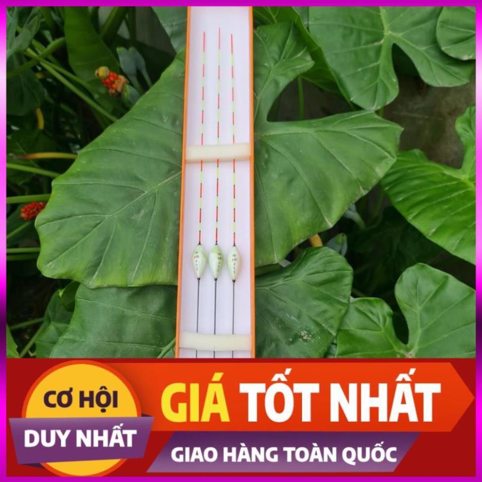 [Xả Kho 3 Ngày] Phao Nano Câu Đài _Phao Nano Câu Cá 3D Cao Cấp