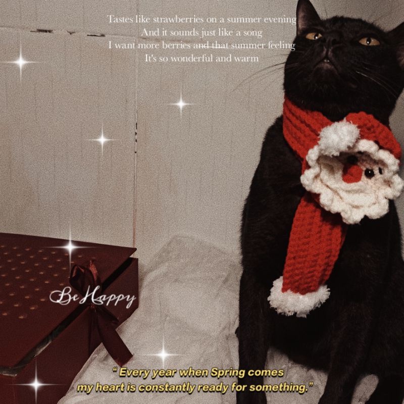 Mũ len và khăn quàng ông già noel và chú tuần lộc xinh xắn đón giáng sinh cho thú cưng