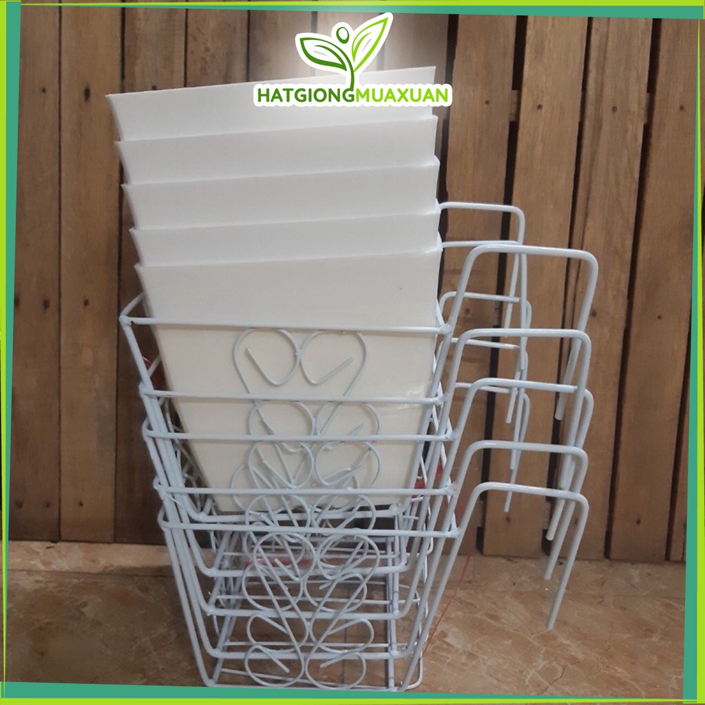 Chậu vuông V20 (đk 20cm) kèm giá treo chậu