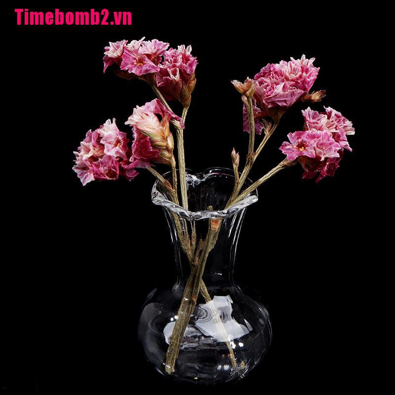 Chậu Hoa Thủy Tinh Mini Tỉ Lệ 1: 12