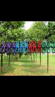 Dây phơi thông minh có kẹp