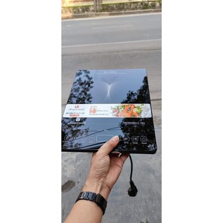 bếp điện từ Elmich