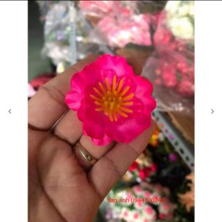Combo mai ,đào ,kẽm ,lá
