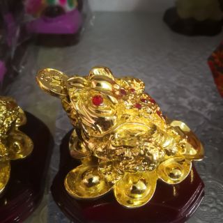 Thiềm thừ - cóc 3 chân - cóc chiêu tài