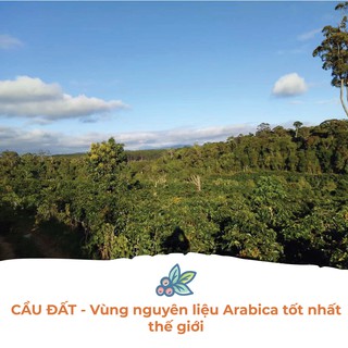 Cà Phê Arabica Cầu Đất DalatFarm - Túi 250gr (Dạng Bột)