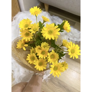 Bình cúc hoạ mi vàng bọc vải
