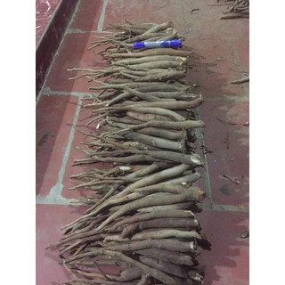 Sâm cau đỏ Tây Bắc xô 1kg