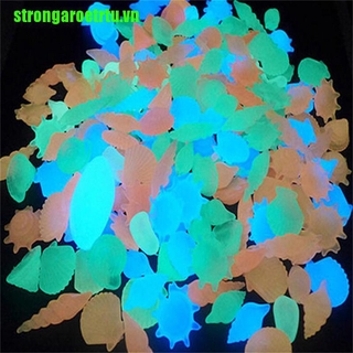 Set 10 Viên Đá Phát Quang Trang Trí Bể Cá