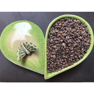 Hạt ba khía cho hamster - gói 100gr