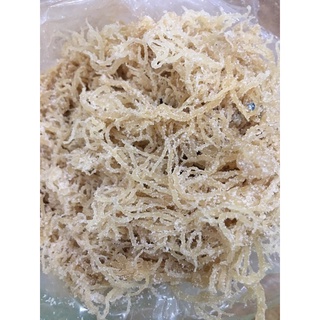 Rong sụn (rong biển trắng)