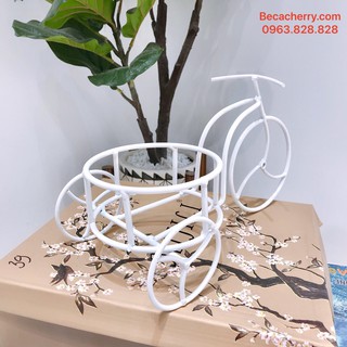 Giá Đỡ Bể Cá Mini Xe Đạp