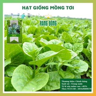 Hạt giống mồng tơi siêu ngon rau củ quả dễ trồng chăm sóc tỉ lệ nảy mầm cao 20gr RADO 038