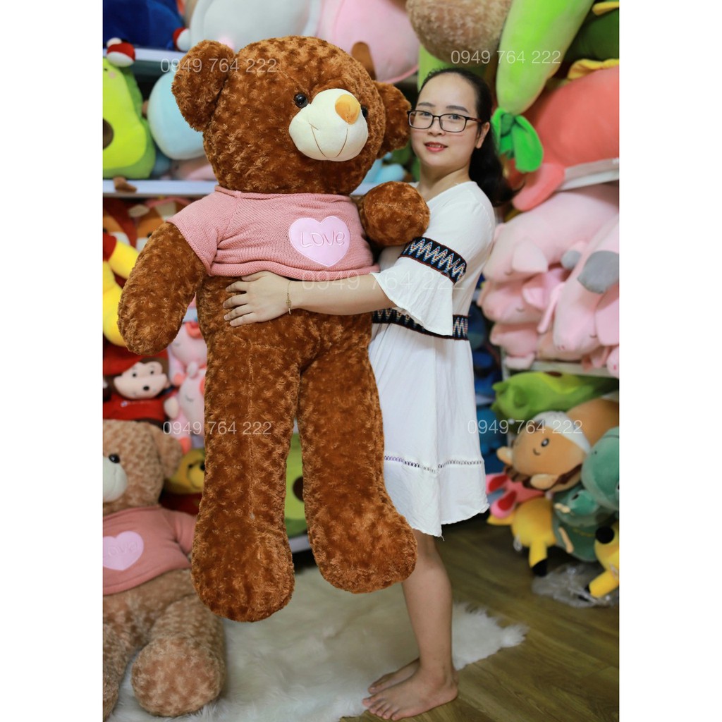 Gấu Bông Teddy Cao Cấp - Gấu Teddy Cao 80cm đến 1m6