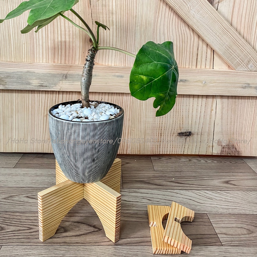 Đôn gỗ mini đặt cây cảnh - Kệ Gỗ Decor cây cảnh CCG11