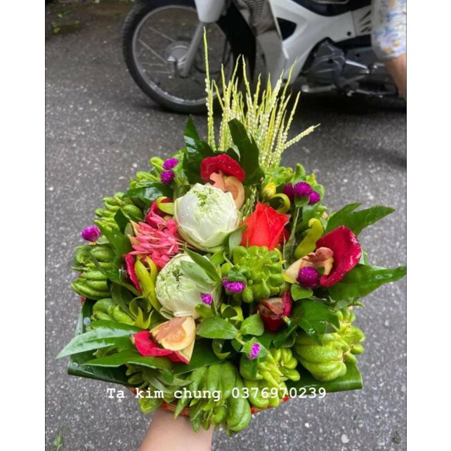 10 Phật thủ mini