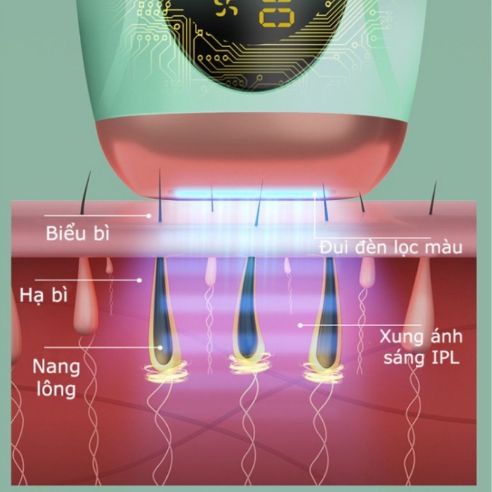 Máy Triệt Lông Vĩnh Viễn Mini Cầm Tay IPL Tặng Kèm Phụ Kiện Chính Hãng COTEMIN