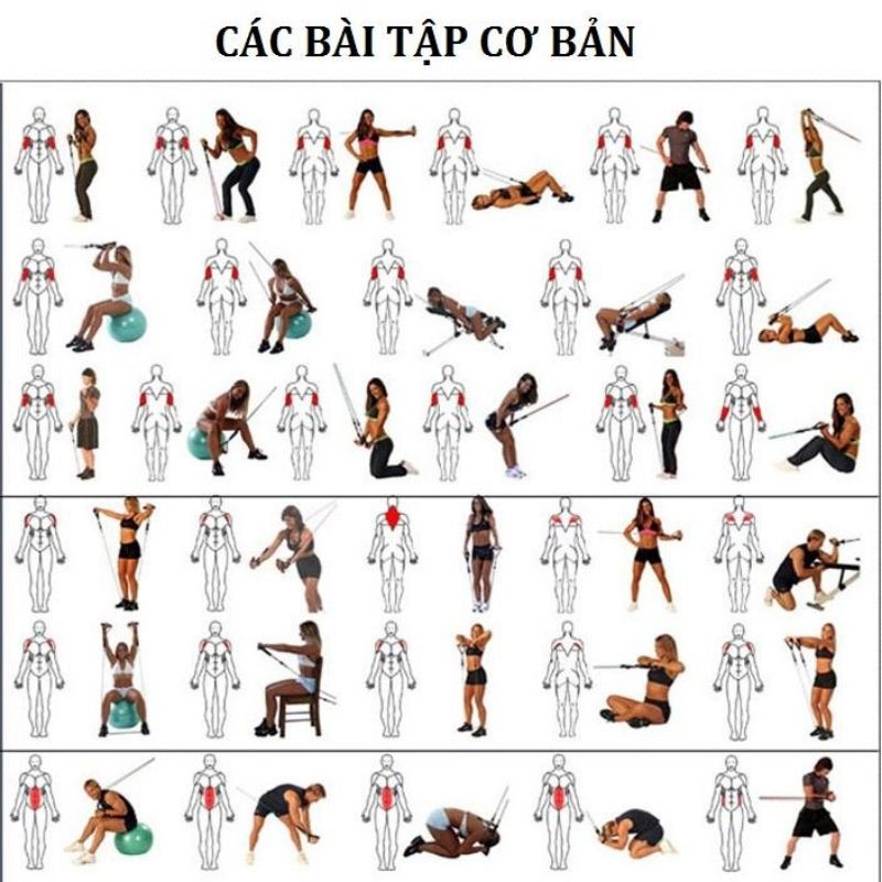 Bộ Dây Đàn Hồi Tập Thể Hình - Dụng Cụ Tập GYM Dây Ngũ Sắc Cao Cấp