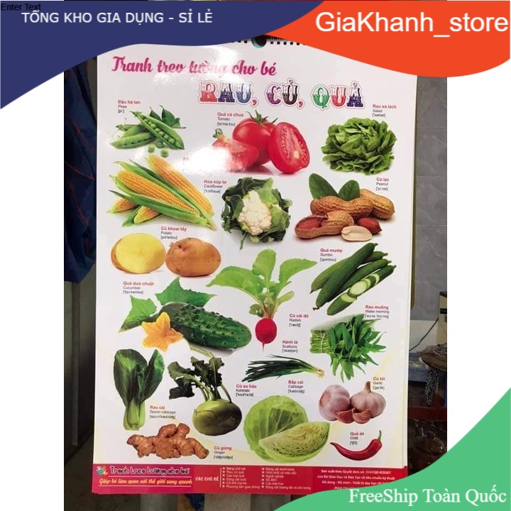 Tranh Chủ Đề Cho Bé, Tranh Học Cho Bé Treo Tường 14 chủ đề thiết kế song ngữ Tiếng Việt và Tiếng Anh