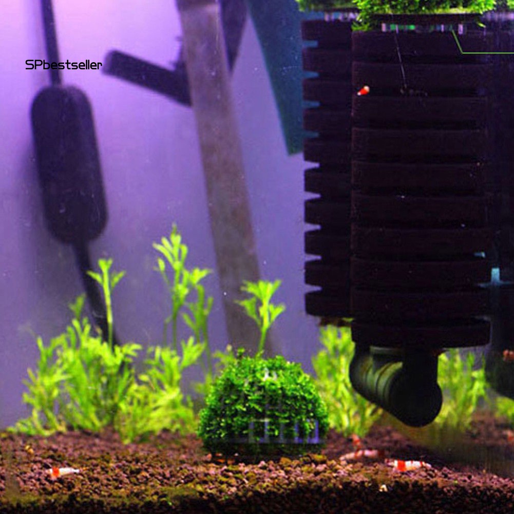 Quả bóng rêu trang trí bể cá tiện lợi