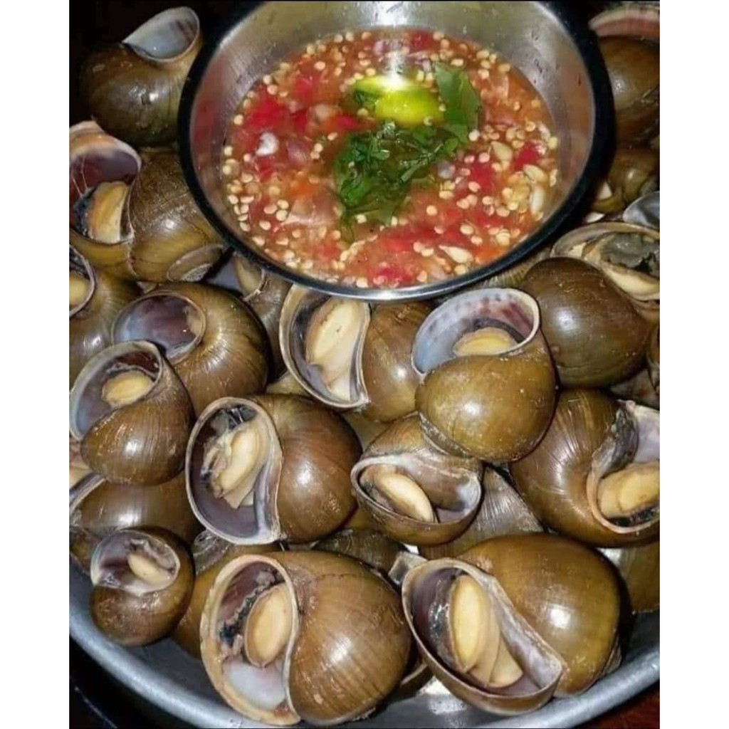 Ốc nhồi 1kg