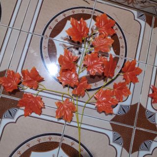 Cành phong lá đỏ