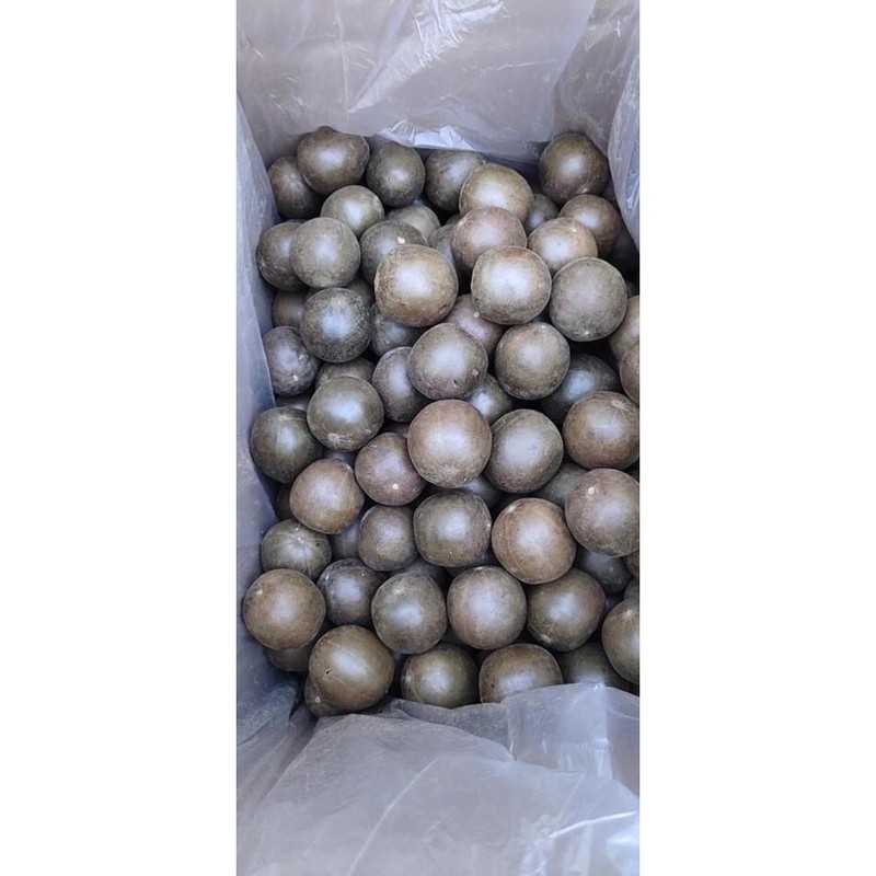 COMBO 10 Quả La Hán⚡ HÀNG LOẠI 1 ⚡ quả loại già- thơm - ngon | BigBuy360 - bigbuy360.vn