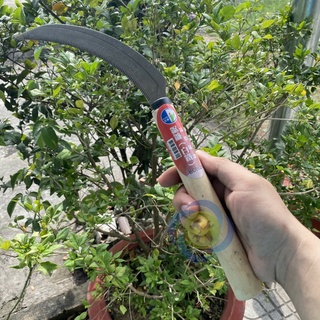 Lưỡi liềm Buddy BC0021 dài 340mm