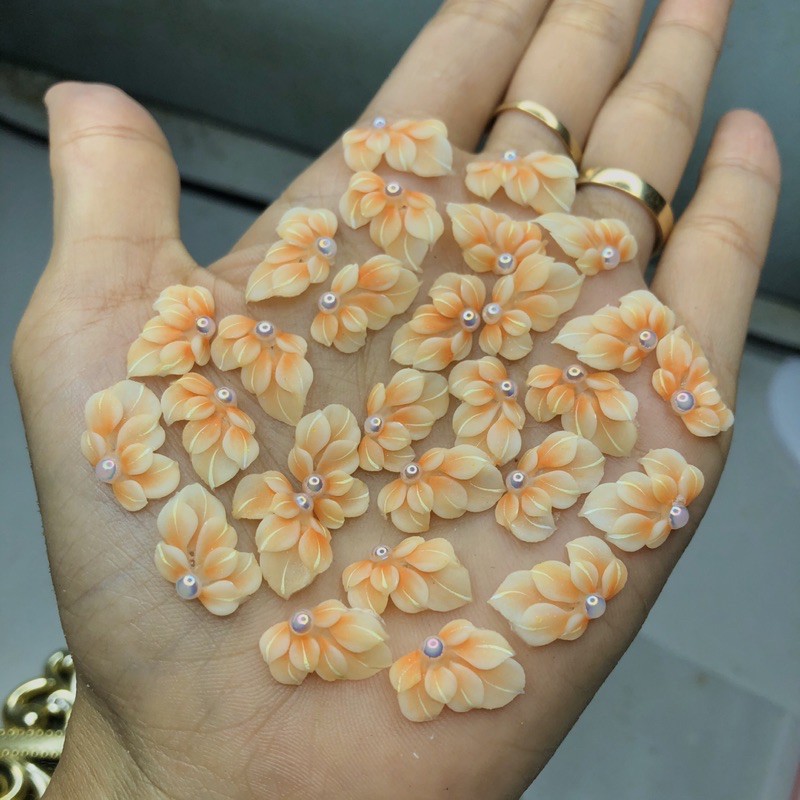 hoa cúc vẽ sale mạnh